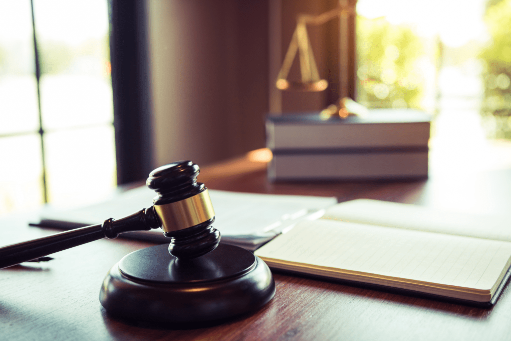 Legal Proceedings: Appeals, Judicial Review & Mandamus